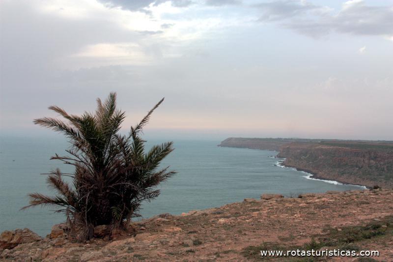 Costa de Sidi Bouzid