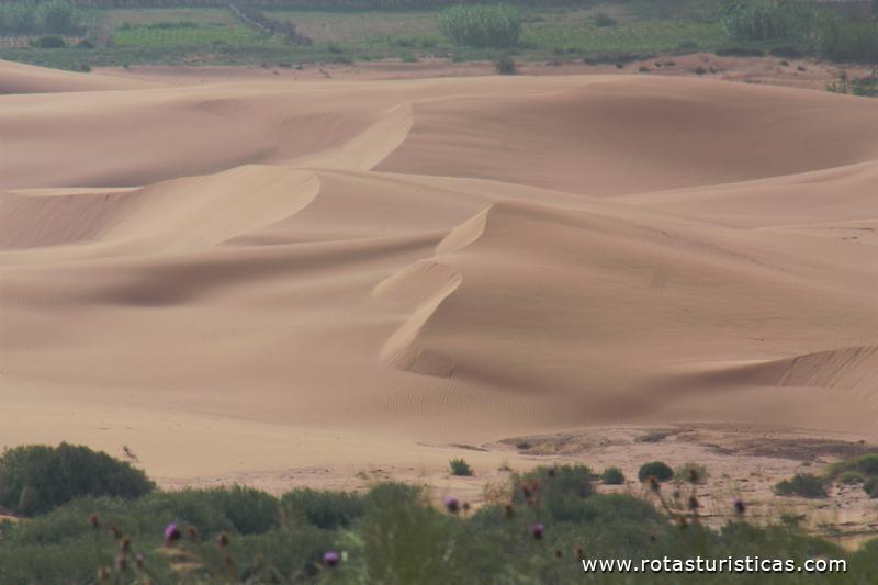 Dunas da costa Atlantica de Marrocos