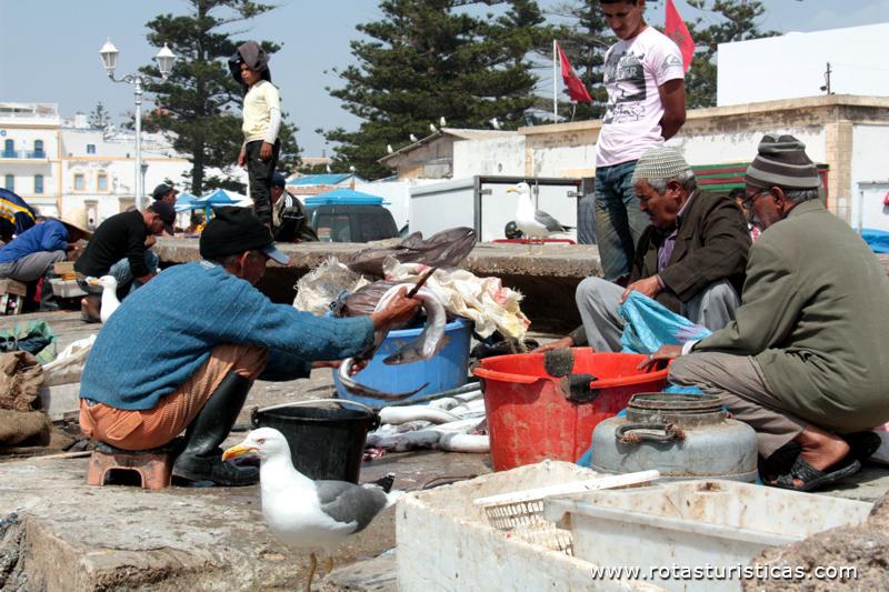 Pescadores de Essaouira