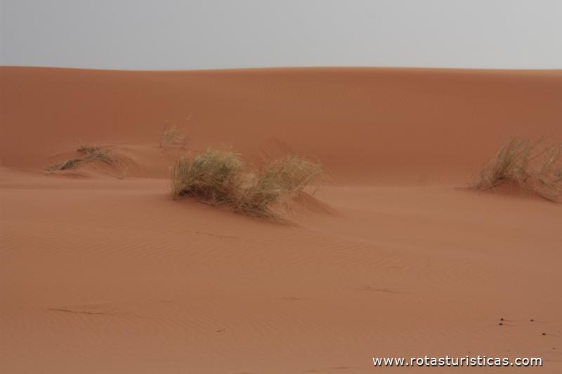 Deserto de Merzouga