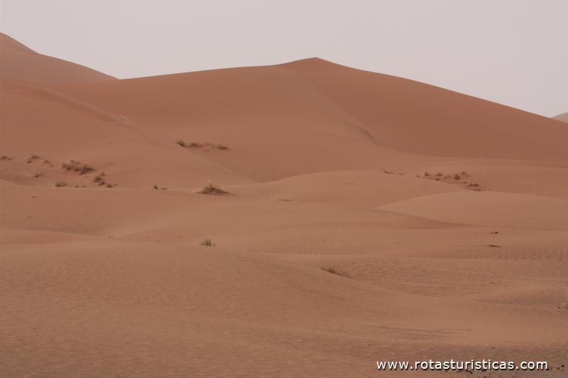 Deserto de Merzouga