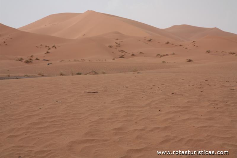 Deserto de Merzouga