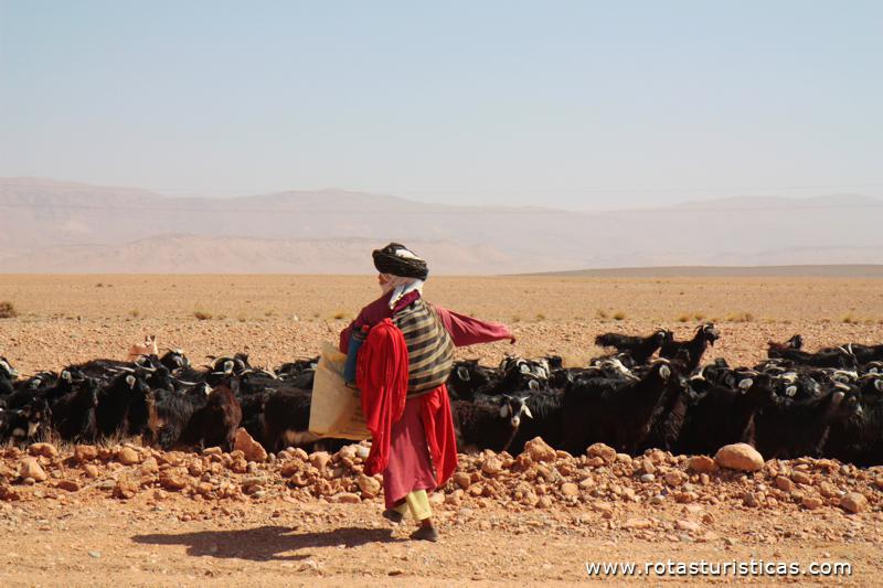 Pastora guardando cabras
