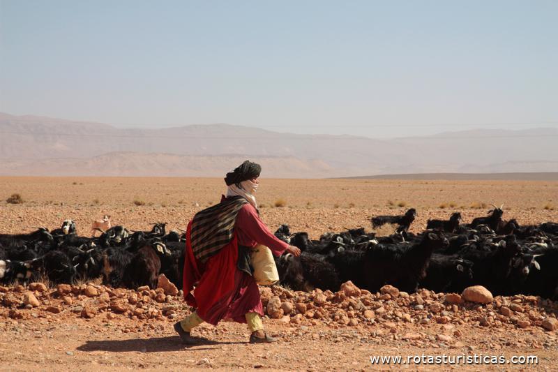 Pastora guardando cabras
