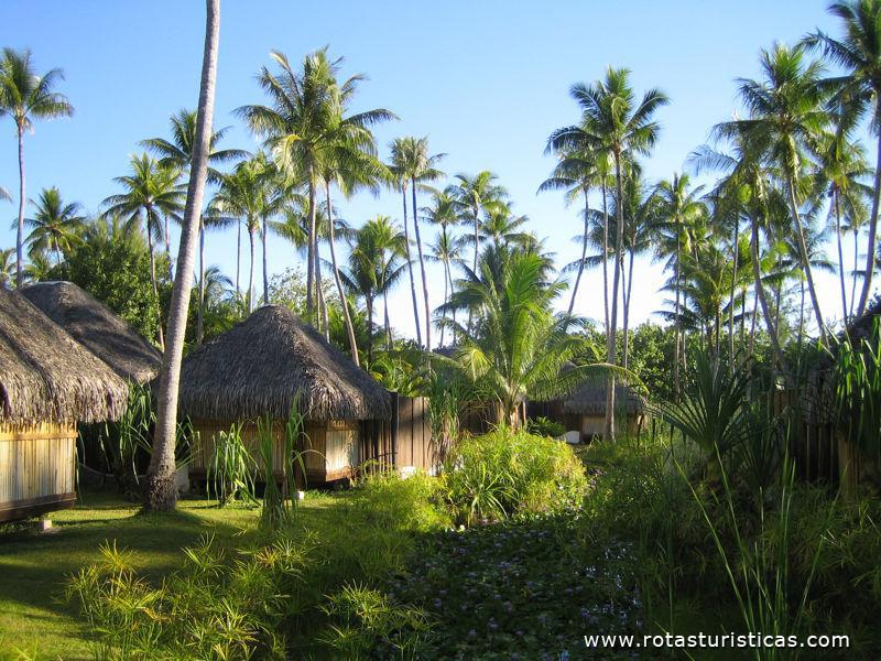 Bungalows de Jardim em Bora Bora