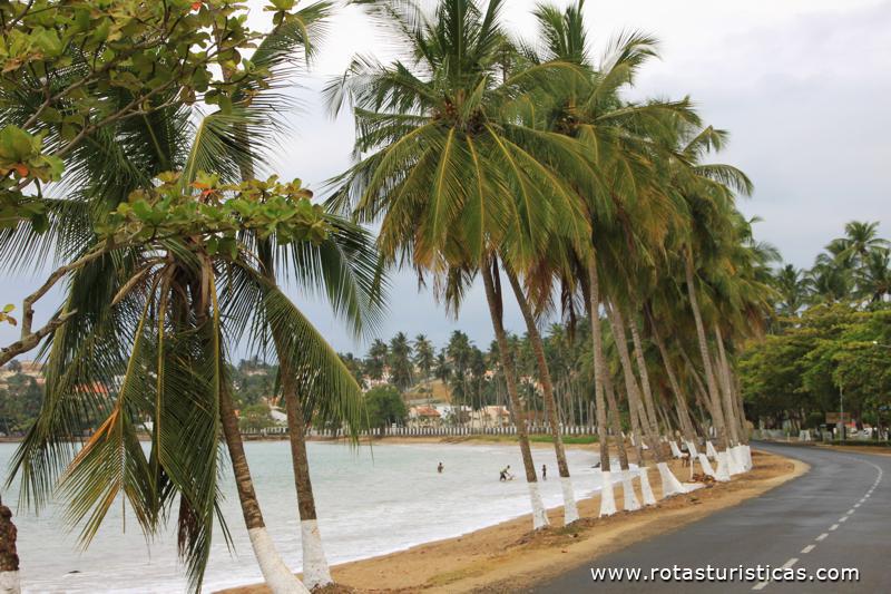Praia lagarto