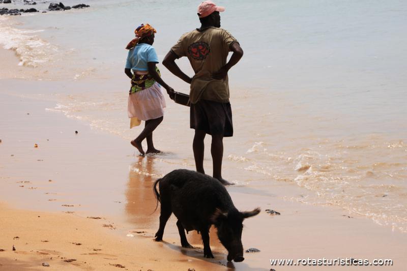 Imagens da Praia São Paulo