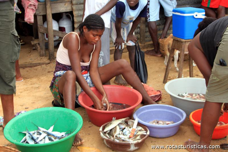 Arrajando o peixe, Praia São Paulo