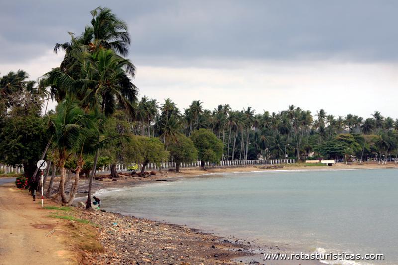 Praia Lagarto