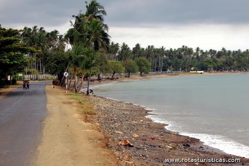 Praia lagarto