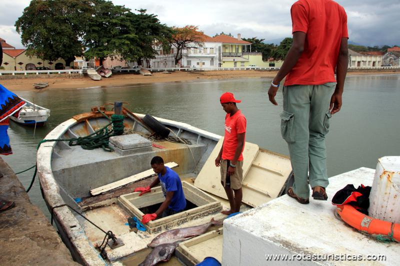 Pescadores descarregando o peixe