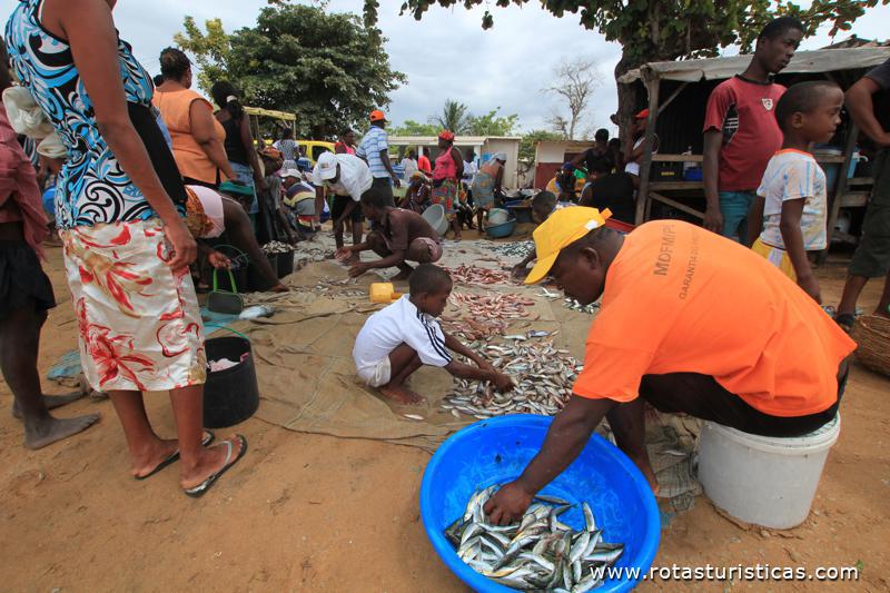 Escolhendo o peixe, Praia São Paulo