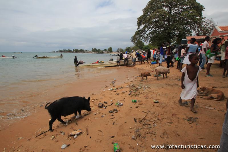Pescadores da Praia São Paulo