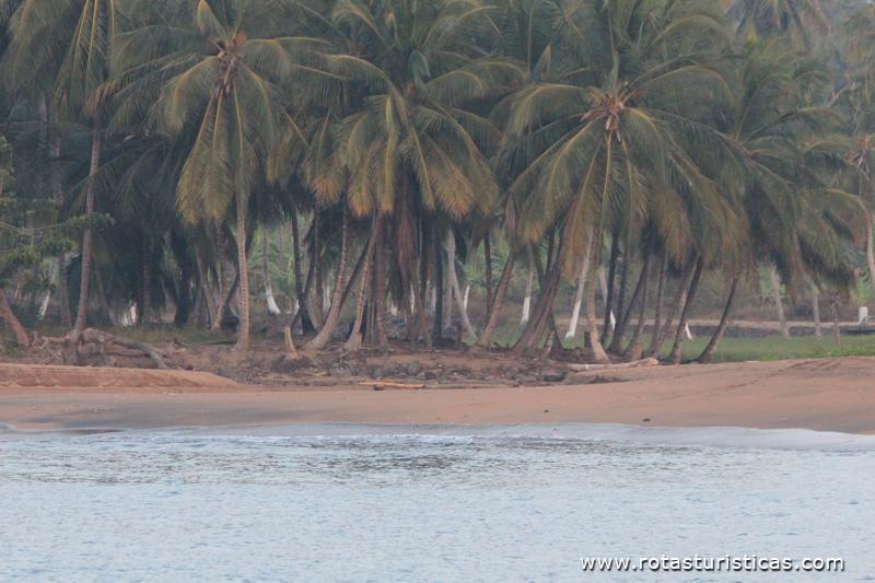 Praia Micolo