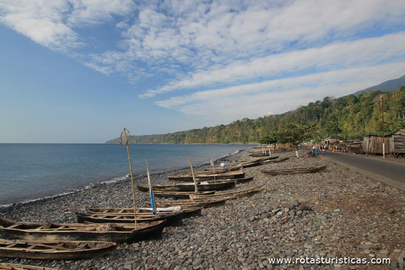 Canoas de pescadores, Santa Catarina