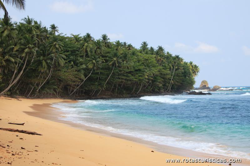 Praia Jalé