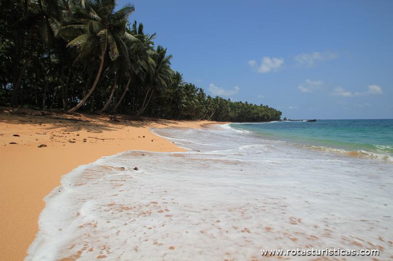 Praia Jalé