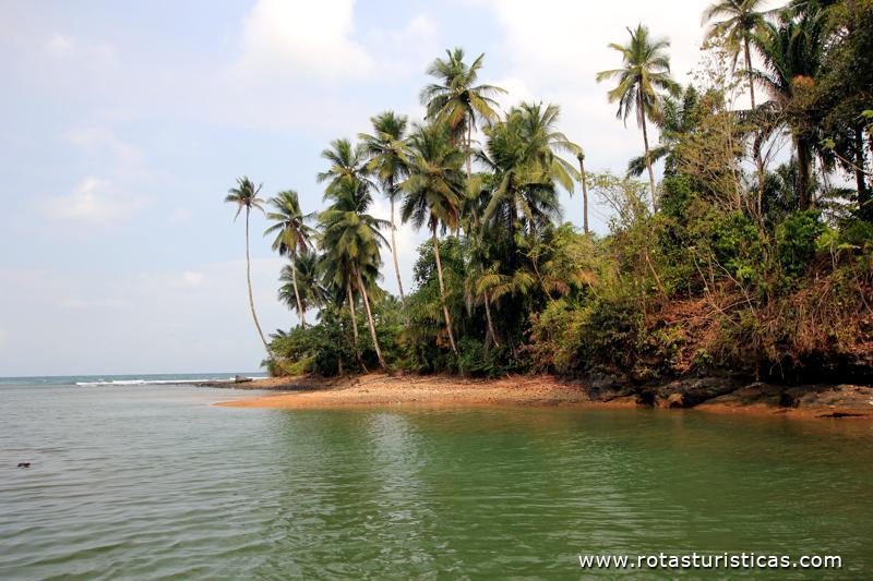 Paisagens de Praia Pesqueira