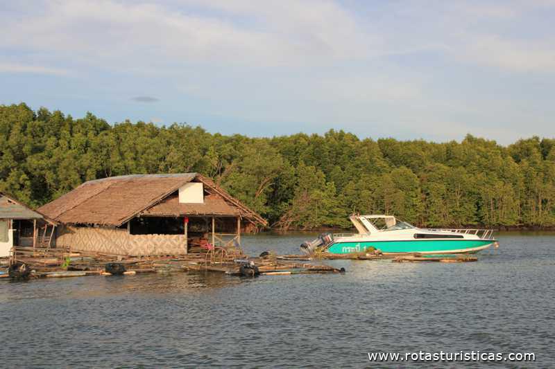 Cabanas flutuantes de pescadores (Krabi/Tailand)