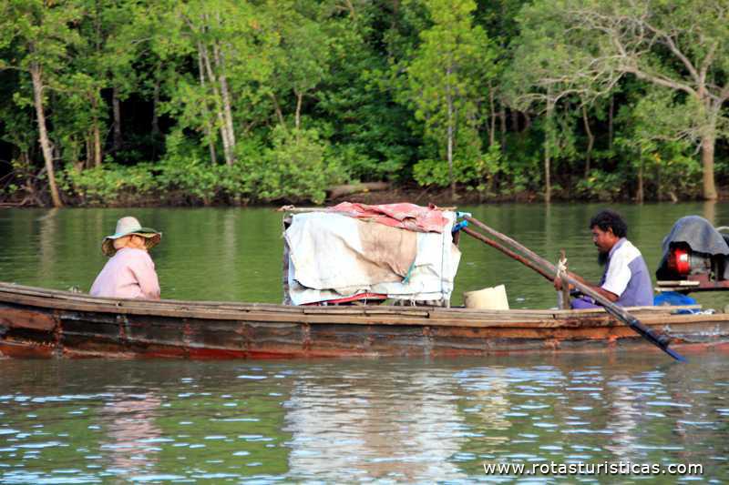 Pescando no rio (Krabi/Tailand)