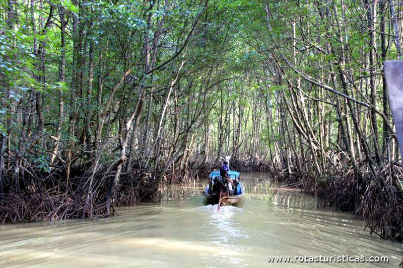 Travessando o Mangue (Krabi/Tailand)