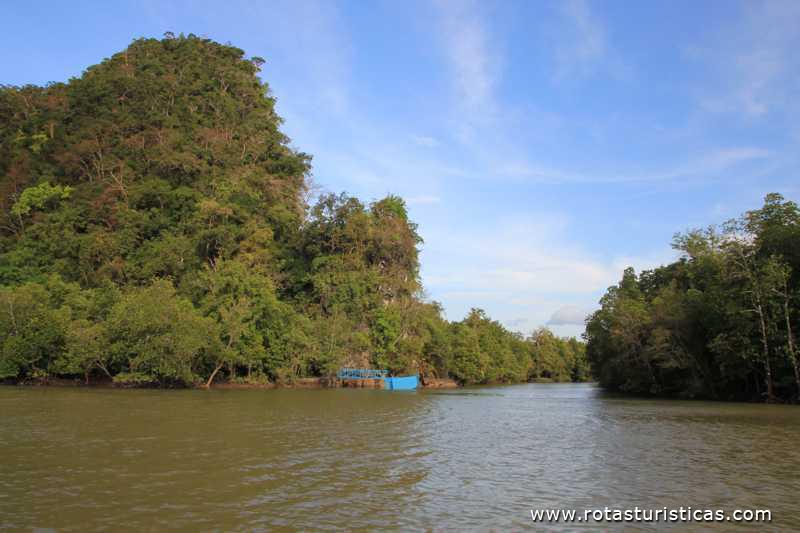 Paisagens do rio de Krabi (Krabi/Tailand)