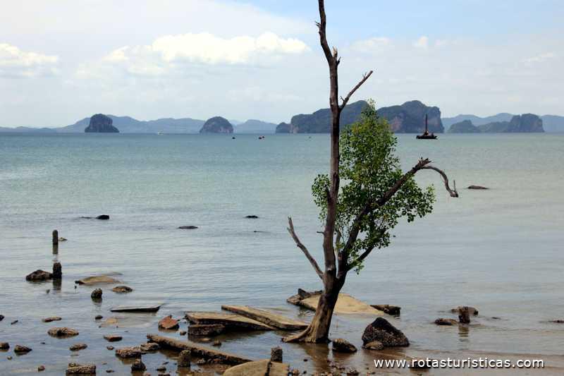 Klong Muang Beach (Krabi/Tailand)