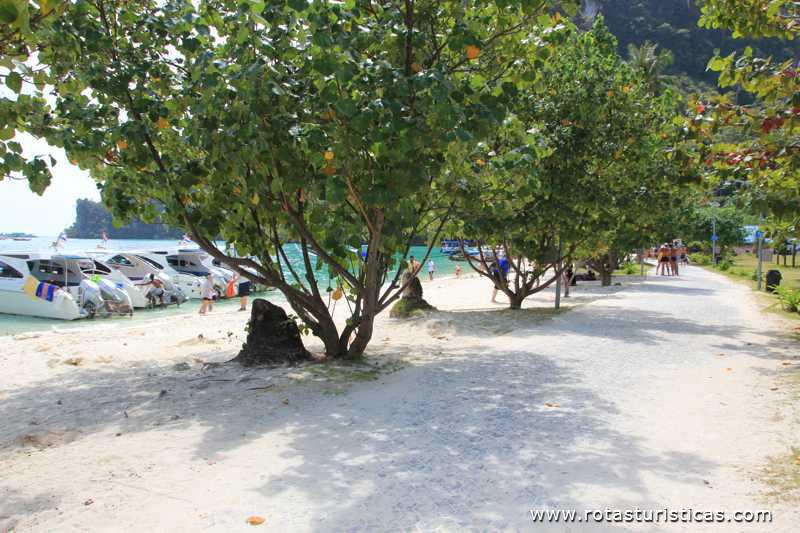Praias de Ko Phi Phi Don  (Phi Phi Islands / Tailand)