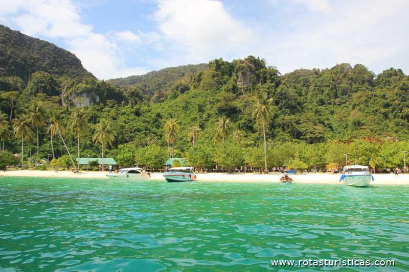 Imagens de Ko Phi Phi Don  (Phi Phi Islands / Tailand)