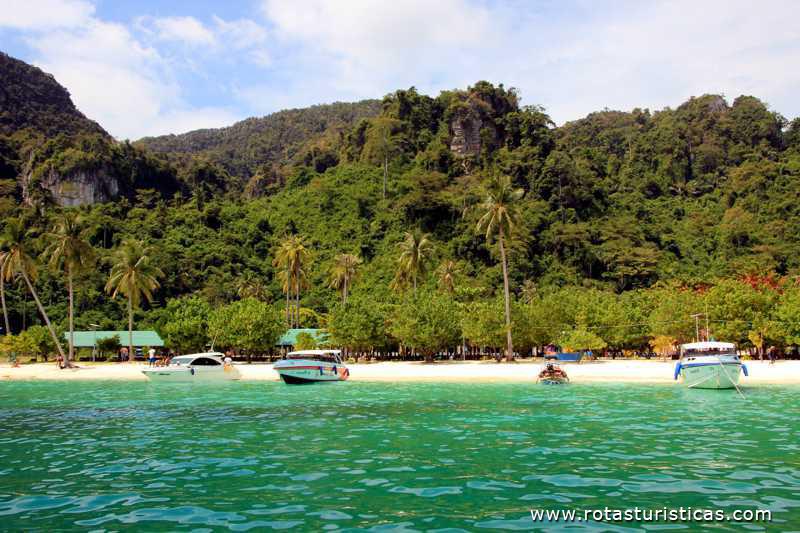 Imagens de Ko Phi Phi Don  (Phi Phi Islands / Tailand)