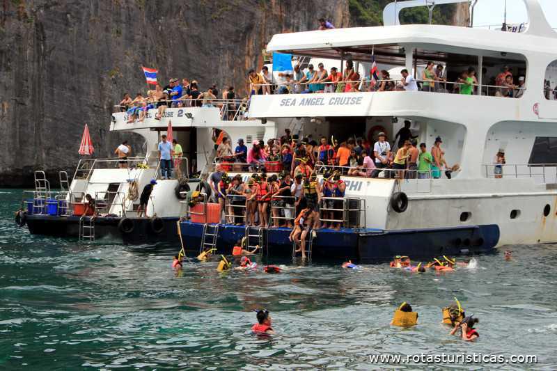 Mergulhando nos corais de Maya Bay (Phi Phi Islands / Tailand)