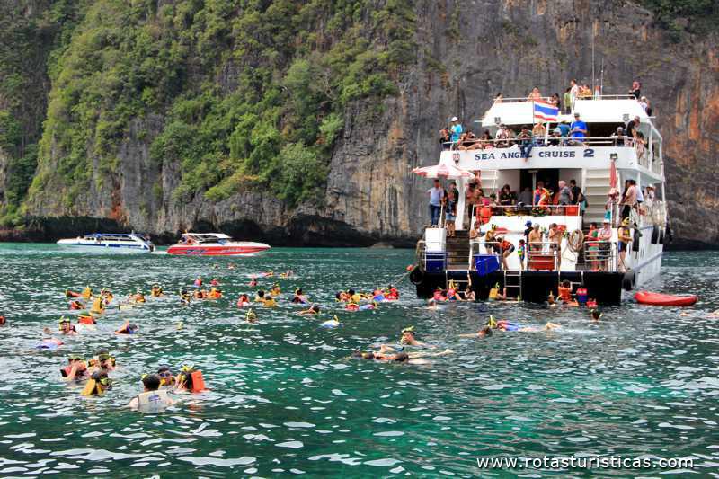 Mergulho nos corais de Maya Bay (Phi Phi Islands / Tailand)