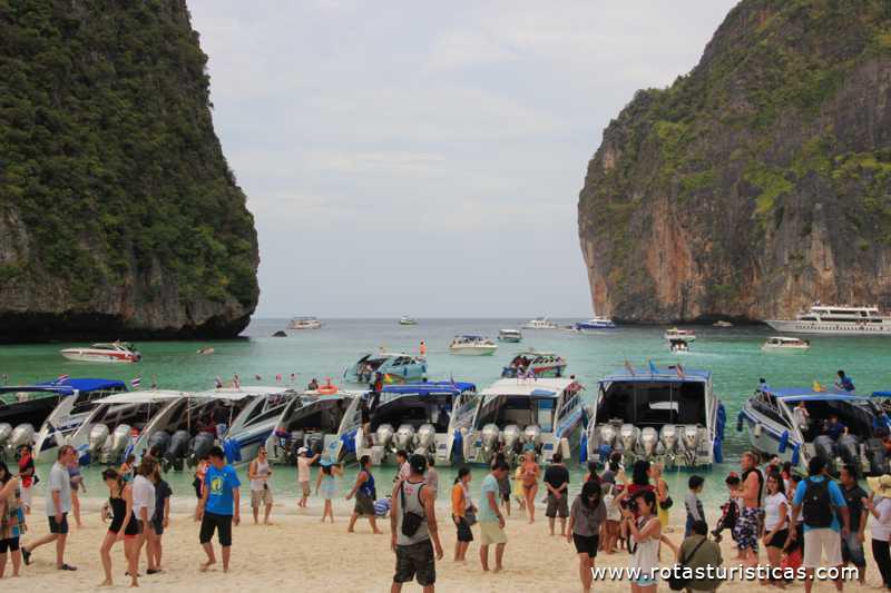 Praia de Maya Bay (Phi Phi Islands / Tailand)