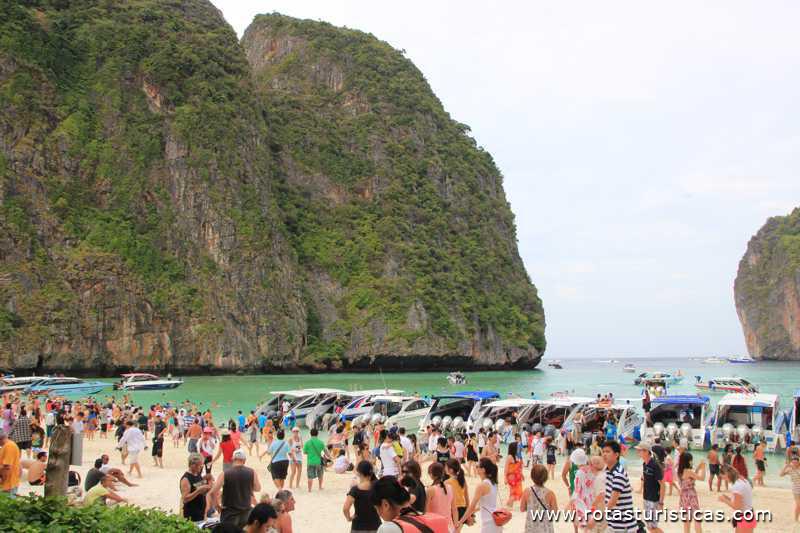 Praia de Maya Bay (Phi Phi Islands / Tailand)