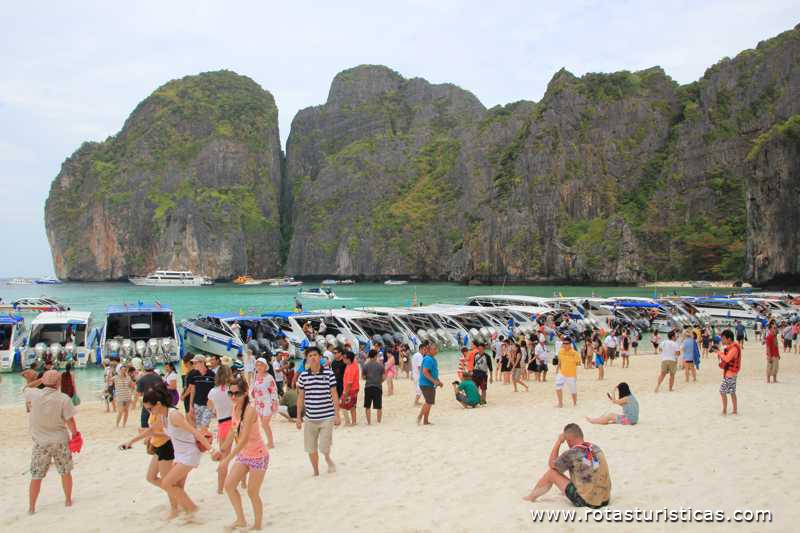 Praia de Maya Bay (Phi Phi Islands / Tailand)