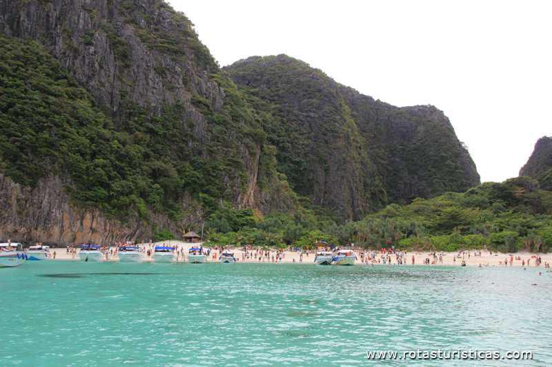 Maya Bay beach  (Phi Phi Islands / Tailand)