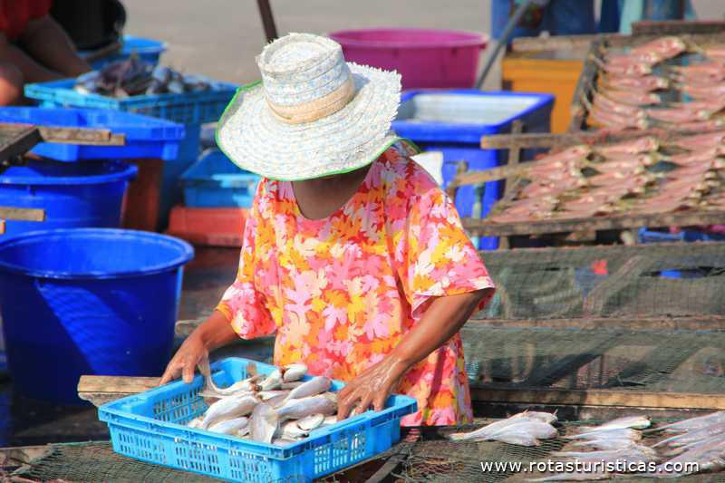 Secando o peixe em Na Chom Thian (Pattaya/Tailandia)