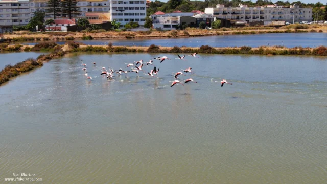 Fuzeta/Fuseta - Algarve