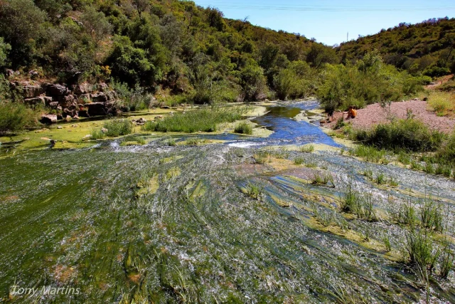 Paderne, Algarve