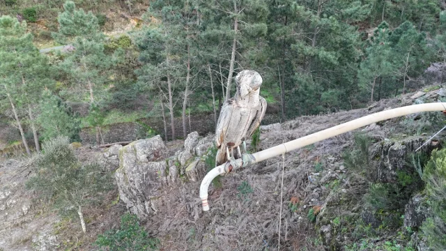 Foz D´Ègua, Aldeias de Xisto