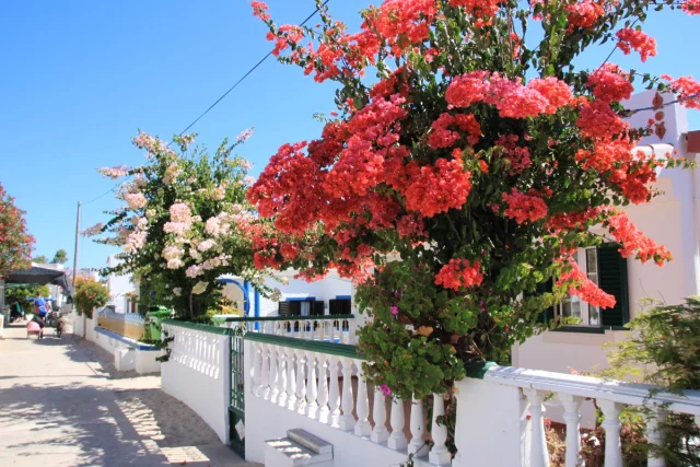 Ilha da Armona, Algarve