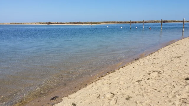 Ilha da Culatra, Algarve
