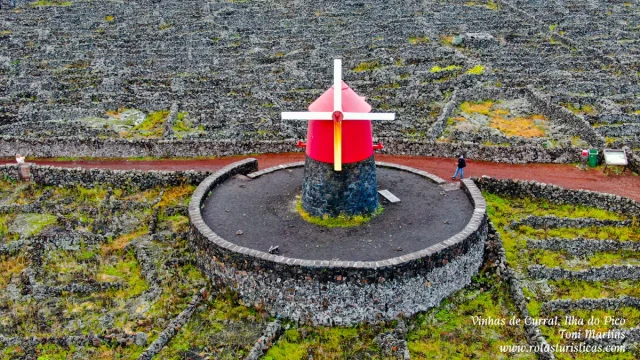 Ilha do Pico