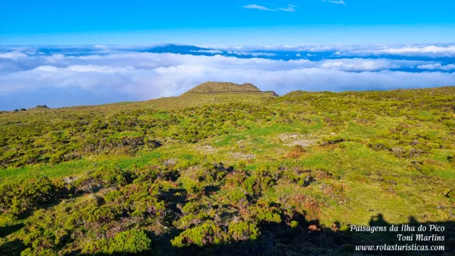 Ilha do Pico