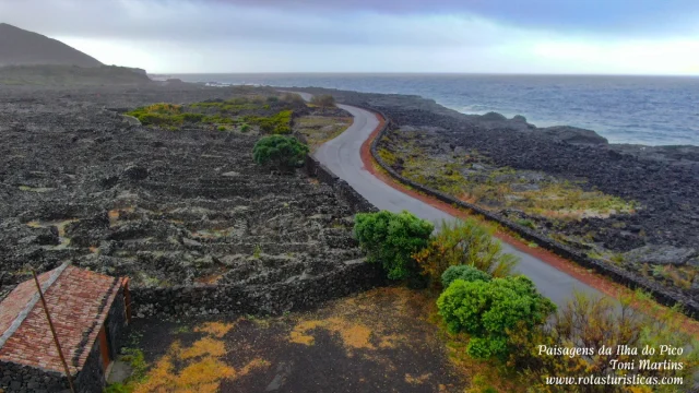 Ilha do Pico