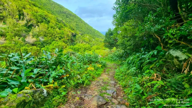 Ilha de São Jorge, Açores