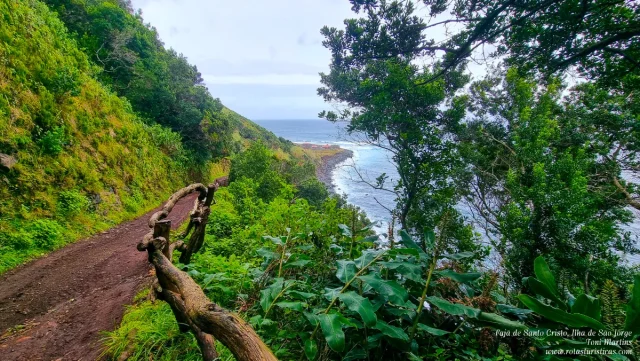 Ilha de São Jorge, Açores