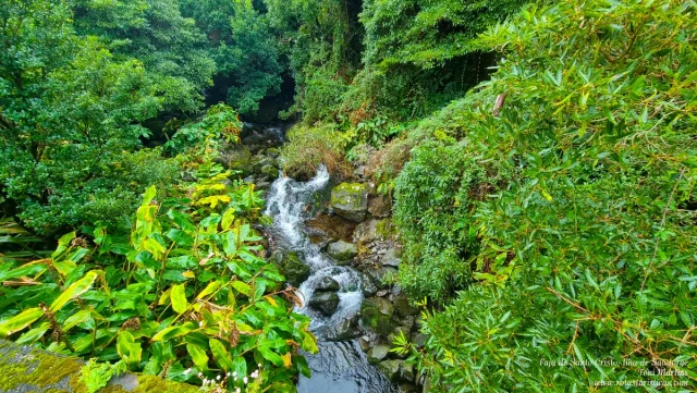 Ilha de São Jorge, Açores