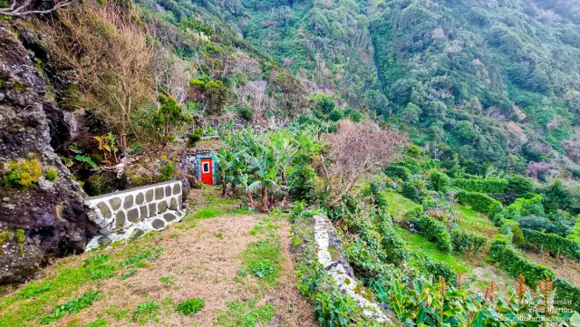 Ilha de São Jorge, Açores