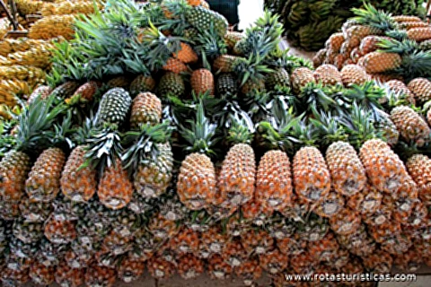 Abacaxi, Mercado de Manaus, Amazonas